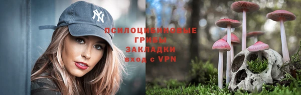 гашик Абдулино