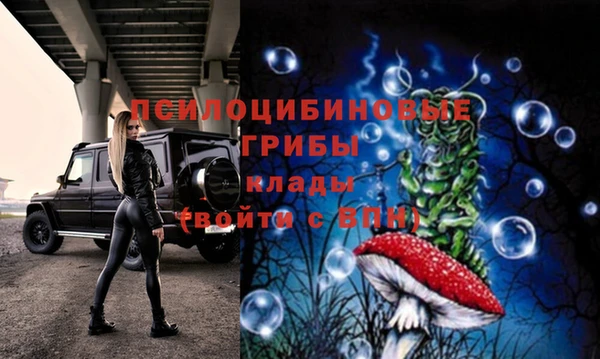 гашик Абдулино