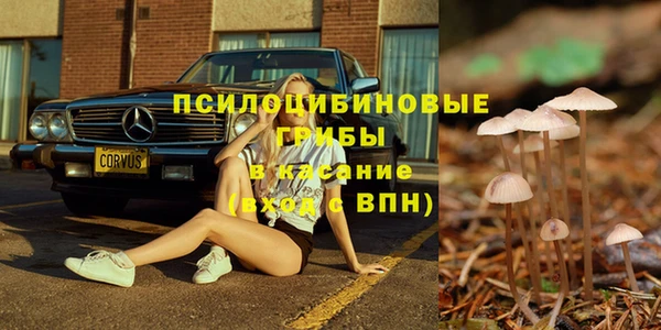 гашик Абдулино