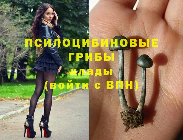 гашик Абдулино