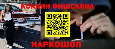 крисы Камышлов