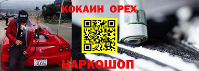 крисы Камышлов