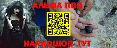 крисы Камышлов