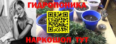 jwh Канаш