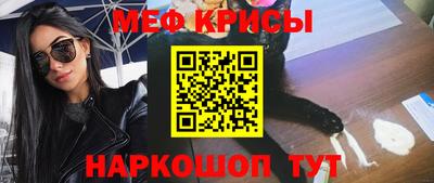 крисы Камышлов