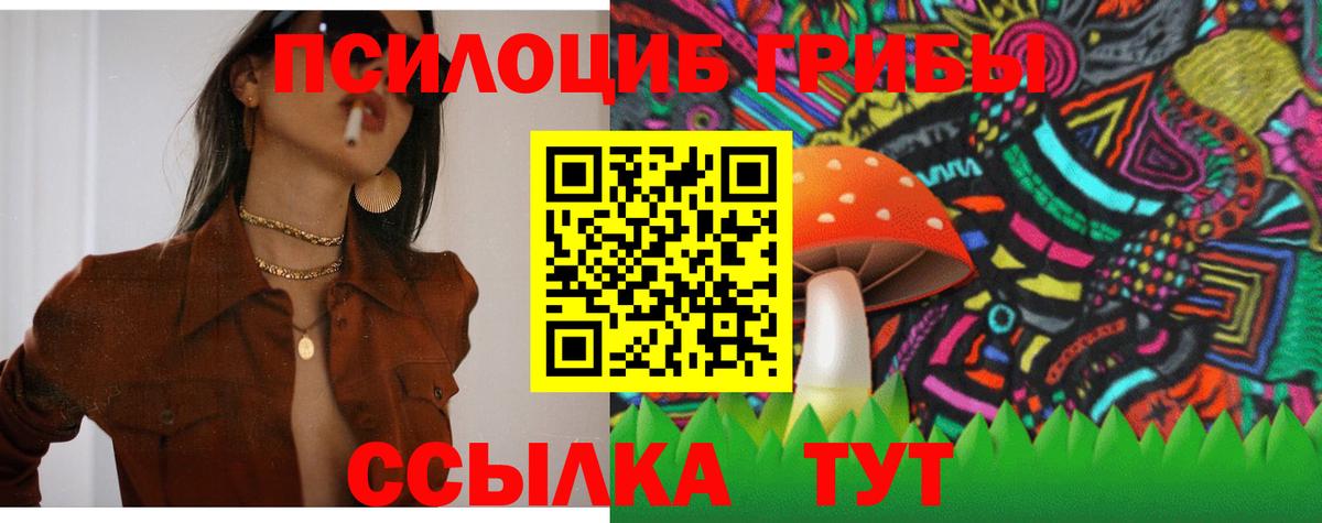 Псилоцибиновые грибы мухоморы Назрань